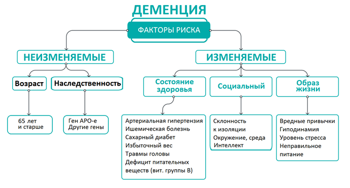 Старческая деменция. Предикторы развития состояния.